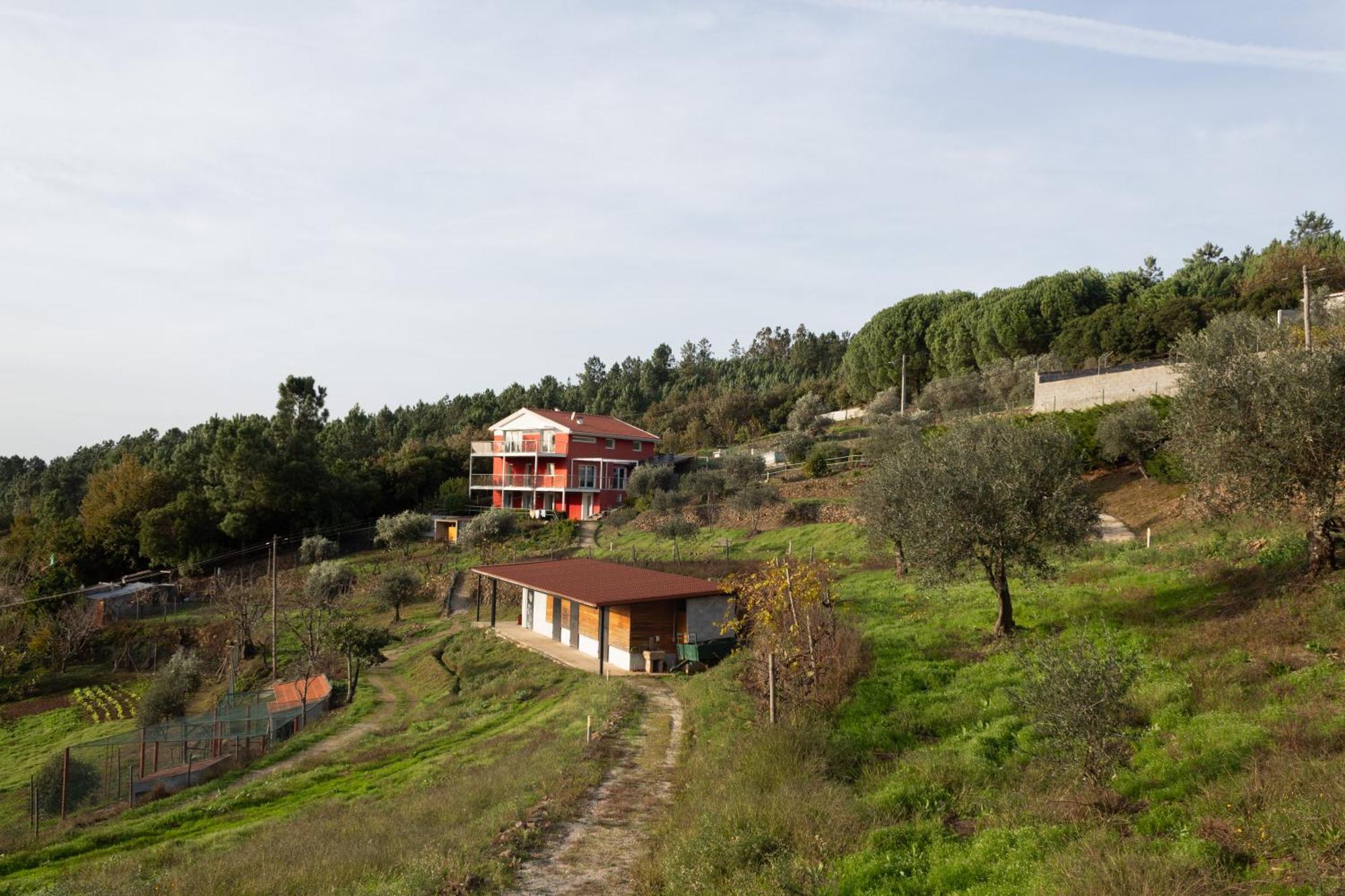 Ecofurtado Villa Buitenkant foto